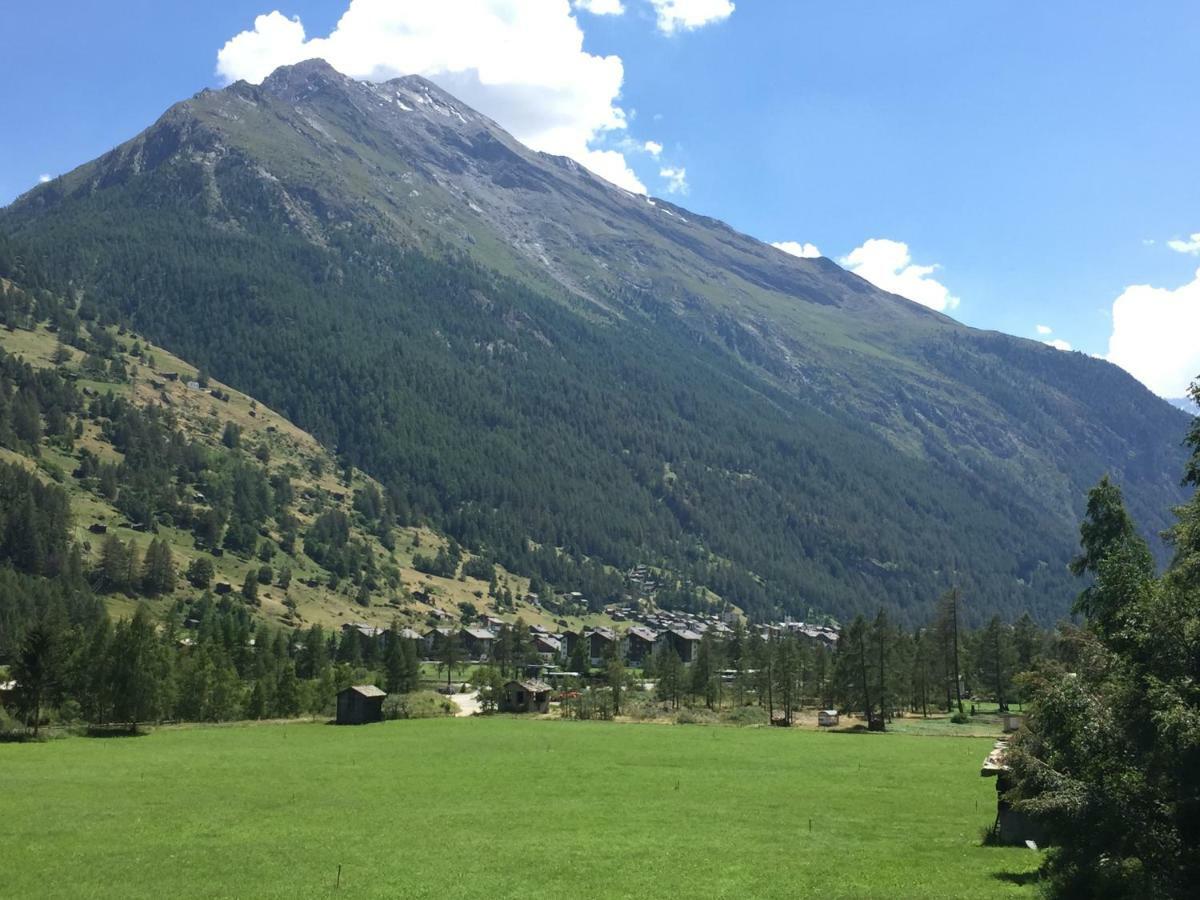 Monte Rosa D 412 Aparthotel Täsch Εξωτερικό φωτογραφία